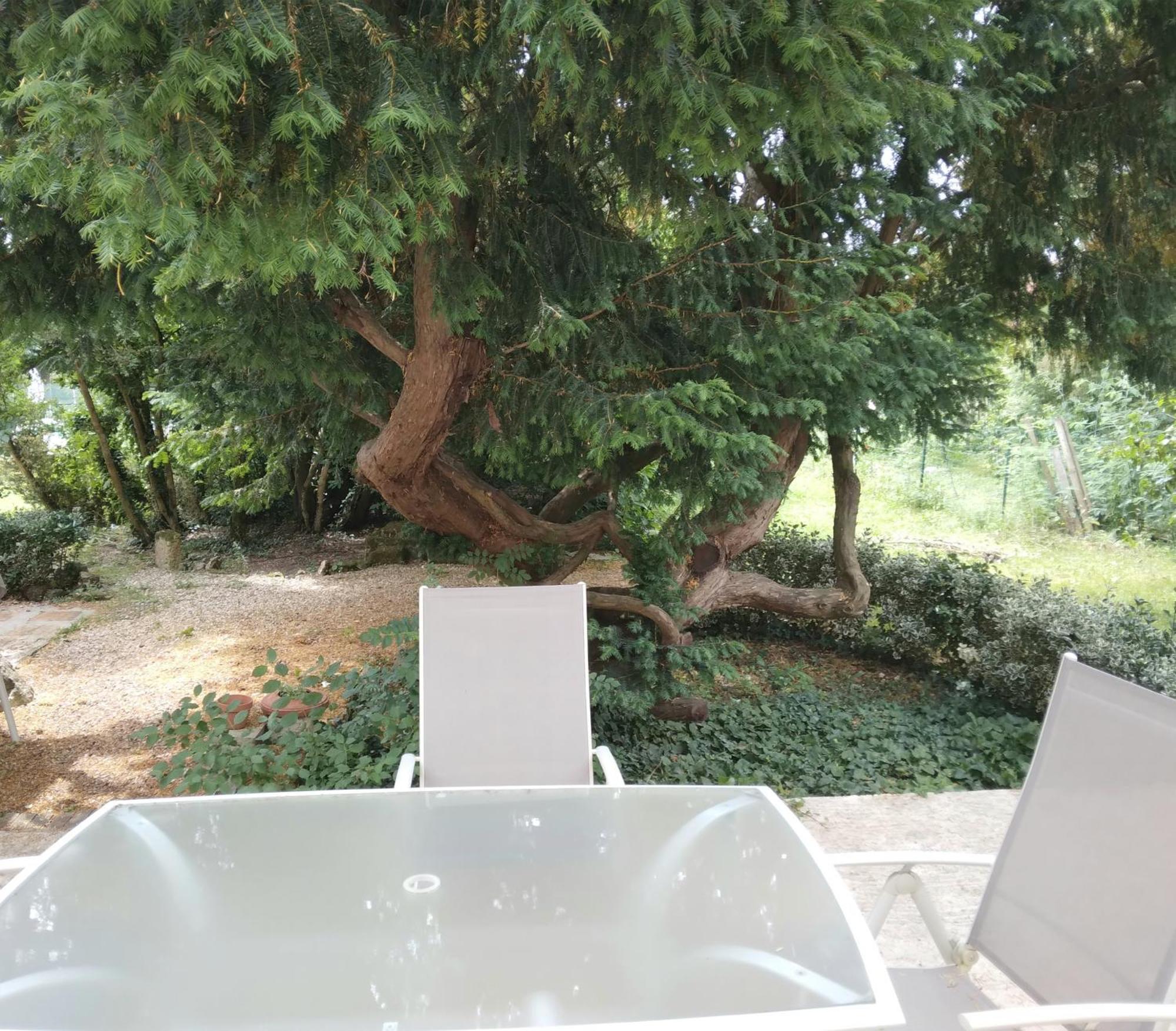 Cinegite Du Jardin Aux Etoiles - Proche De Saint Emilion Δωμάτιο φωτογραφία